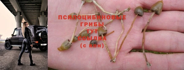 прущий лед Балабаново